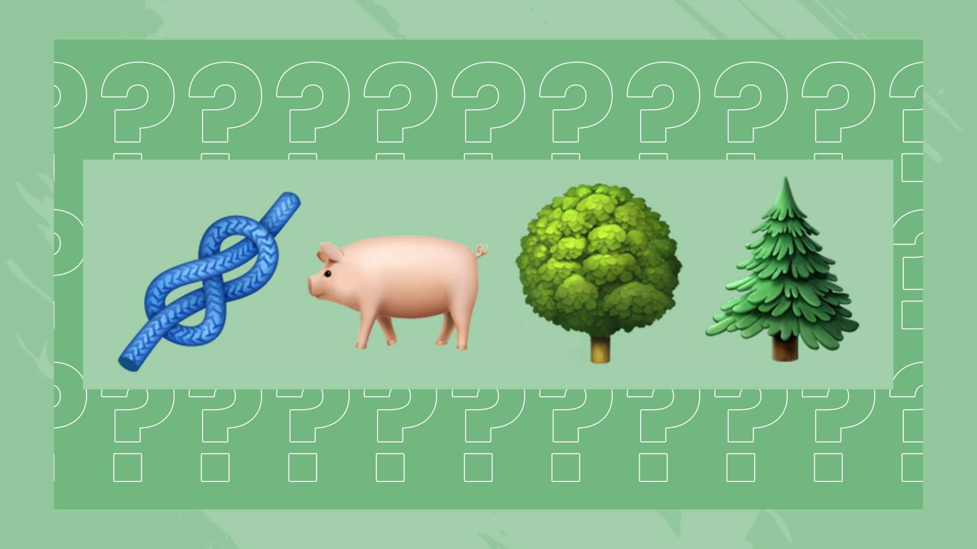 已超越荣誉 已超越荣誉